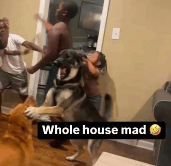 FNF: Infinite Walls tweet media