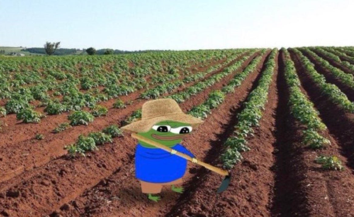 obese.potato.hl🥔 | Theo Arc tweet media