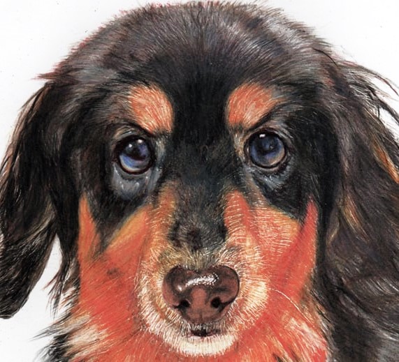 佐々木富士八 Fujiya Sasaki tweet media