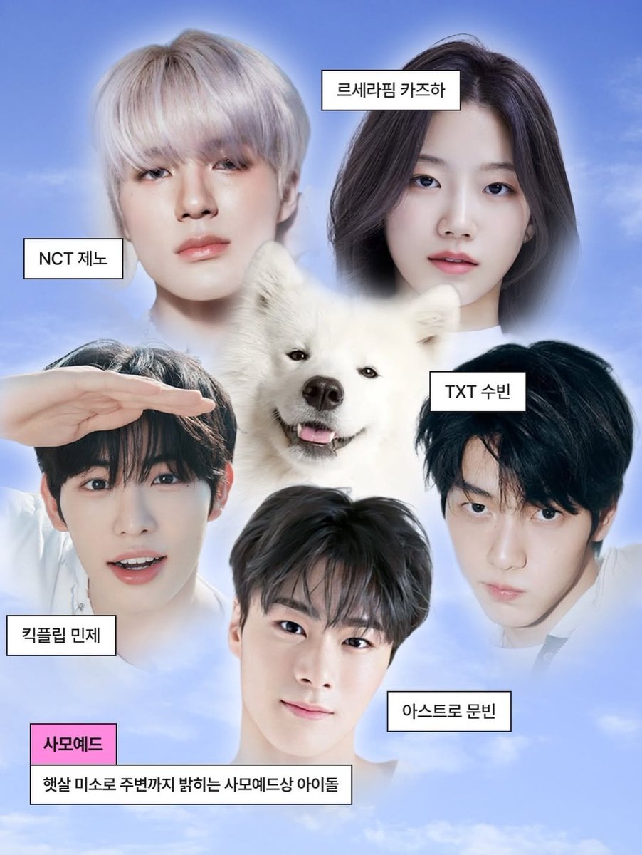 김동동🐾 tweet media