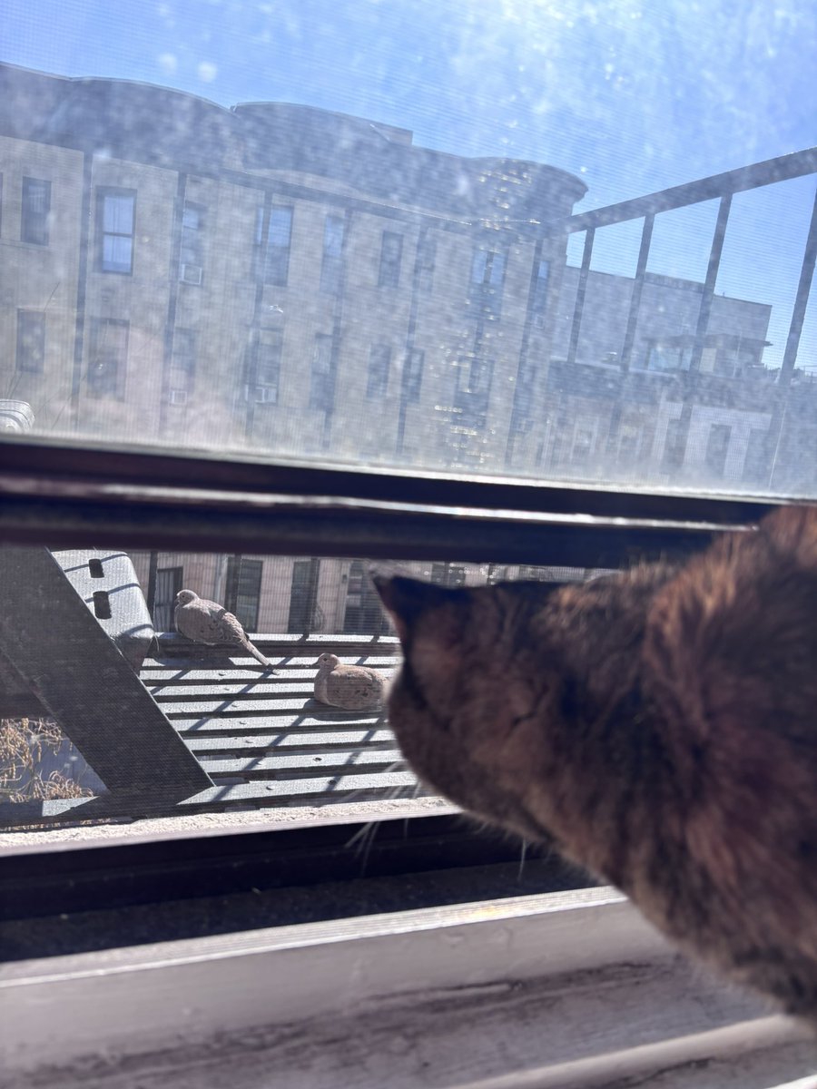 jourdain searles tweet media