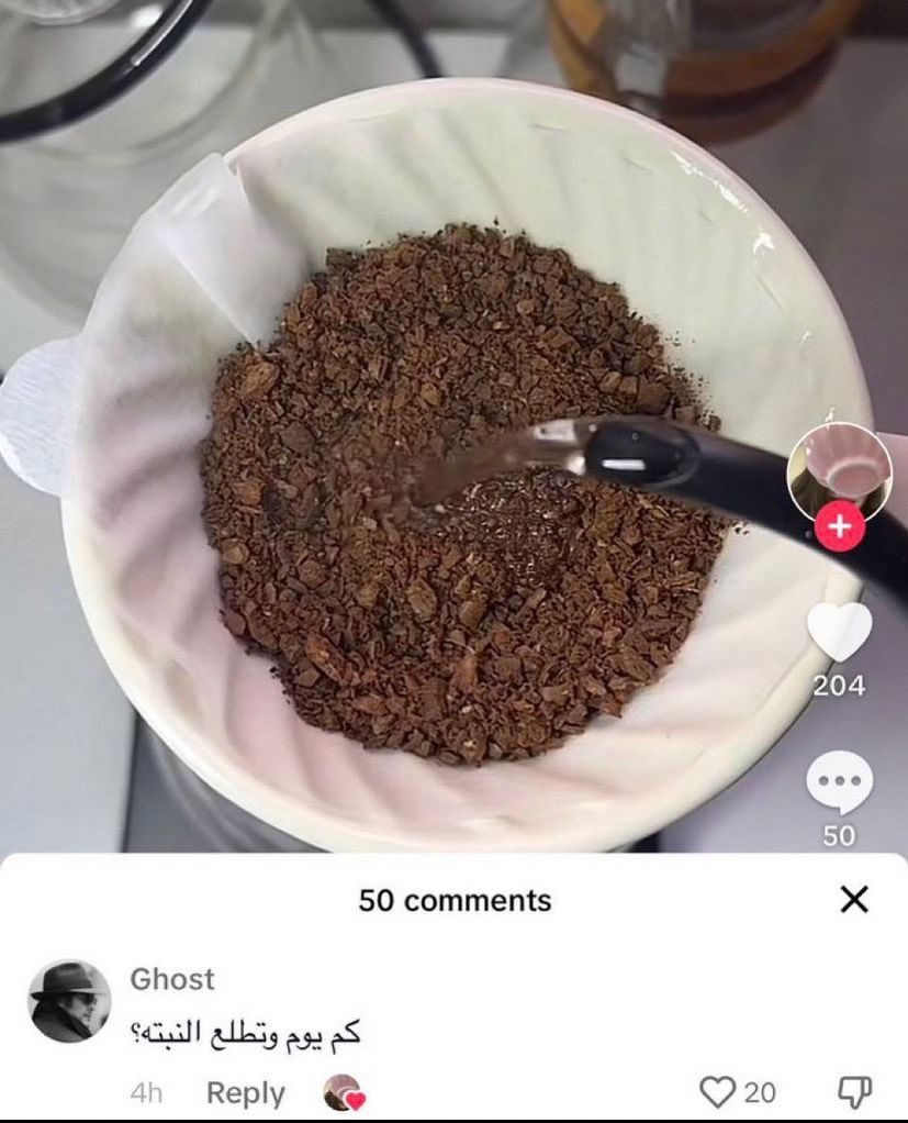 تركي tweet media