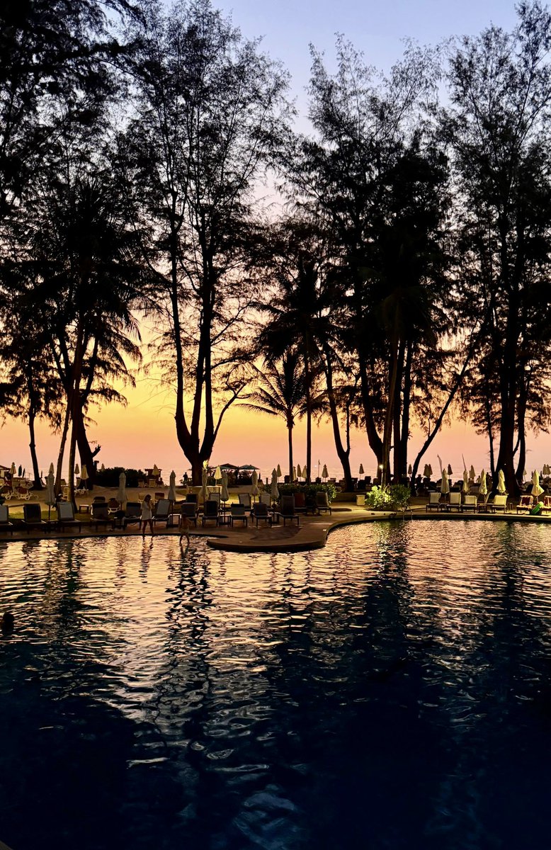 Светлaнa Шерстобитова tweet media