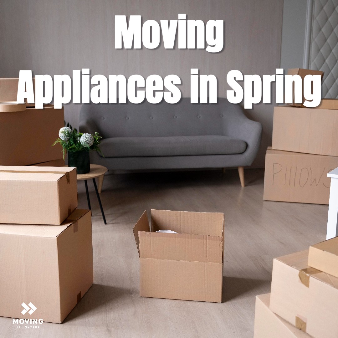 MoVip Movers tweet media