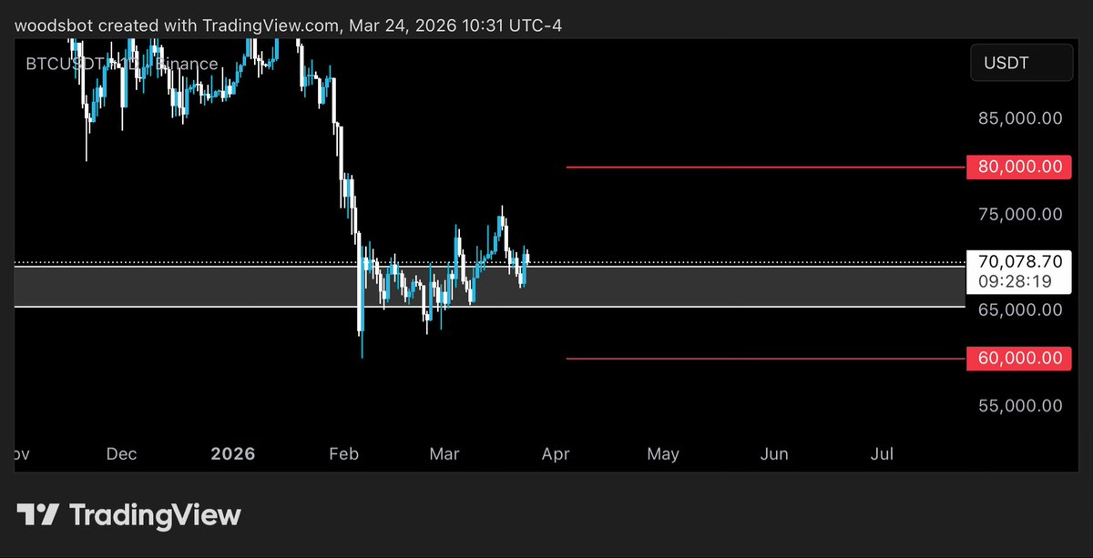woods.ai tweet media