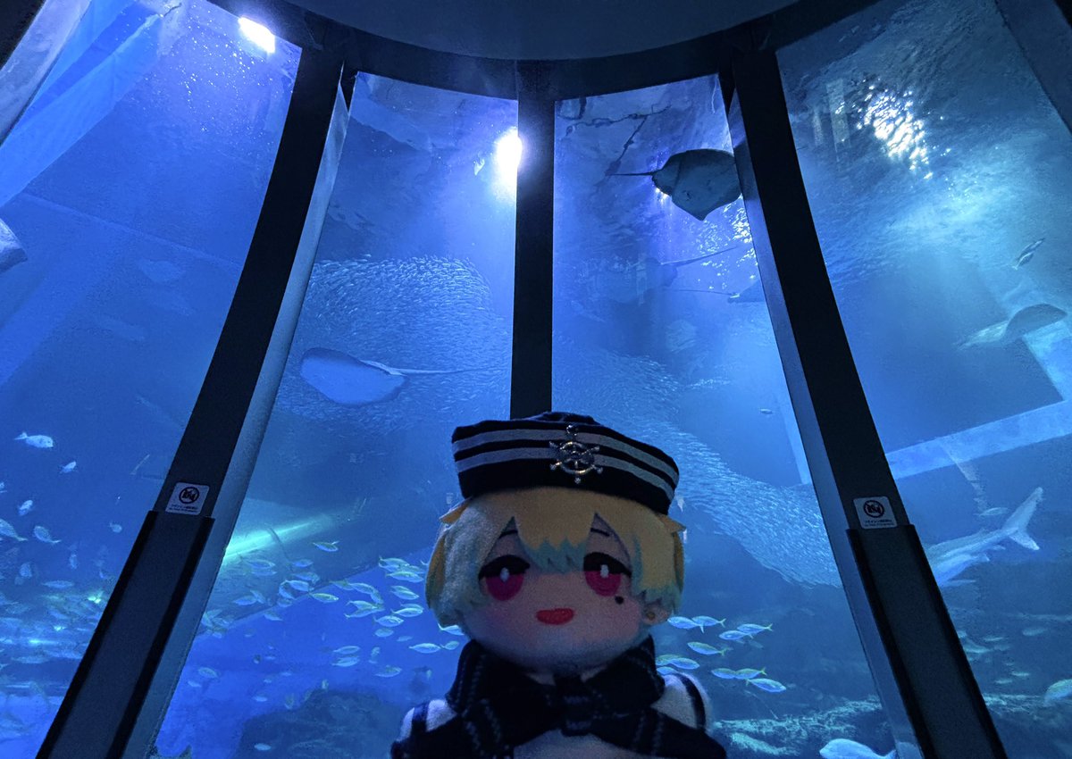 SidePuchi's tweet photo. #理由あってシーパラファイナル
#CFIRST
水族館と海の生き物とSideMが生き甲斐な私にとって本当に本当に幸せなコラボでした🐟✨
大水槽の魚空、また絶対に観に行きたいと思います!
食も生き物も景色もSideMも大満喫できて3️⃣1️⃣5️⃣✨なイベントでした!!!
またの機会があることを願って! https://t.co/0TrmI8s7Oz