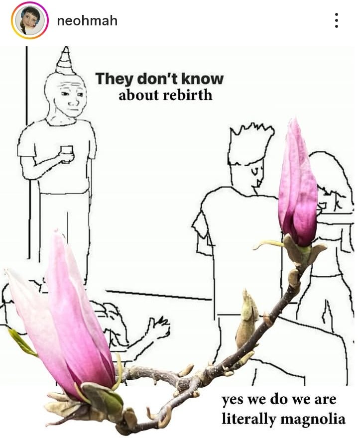 kndy!!! ☭ tweet media