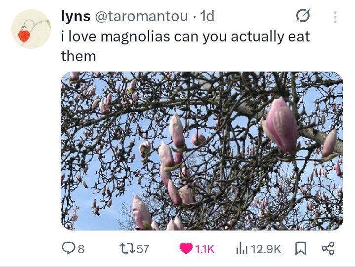 kndy!!! ☭ tweet media