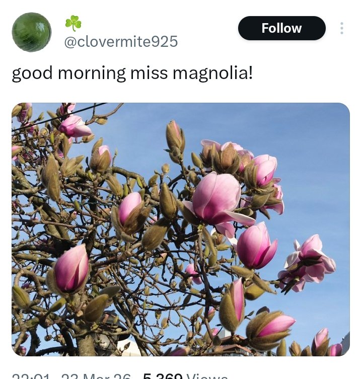 kndy!!! ☭ tweet media