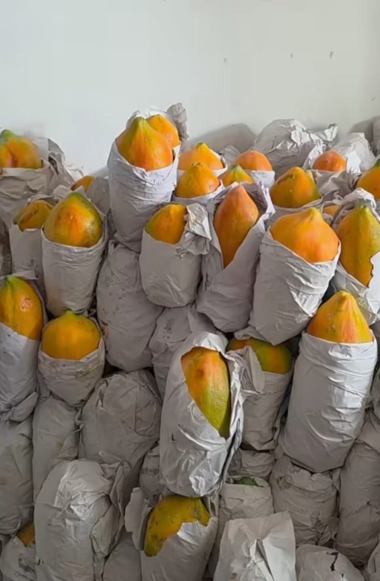 Shilpi Yadav tweet media