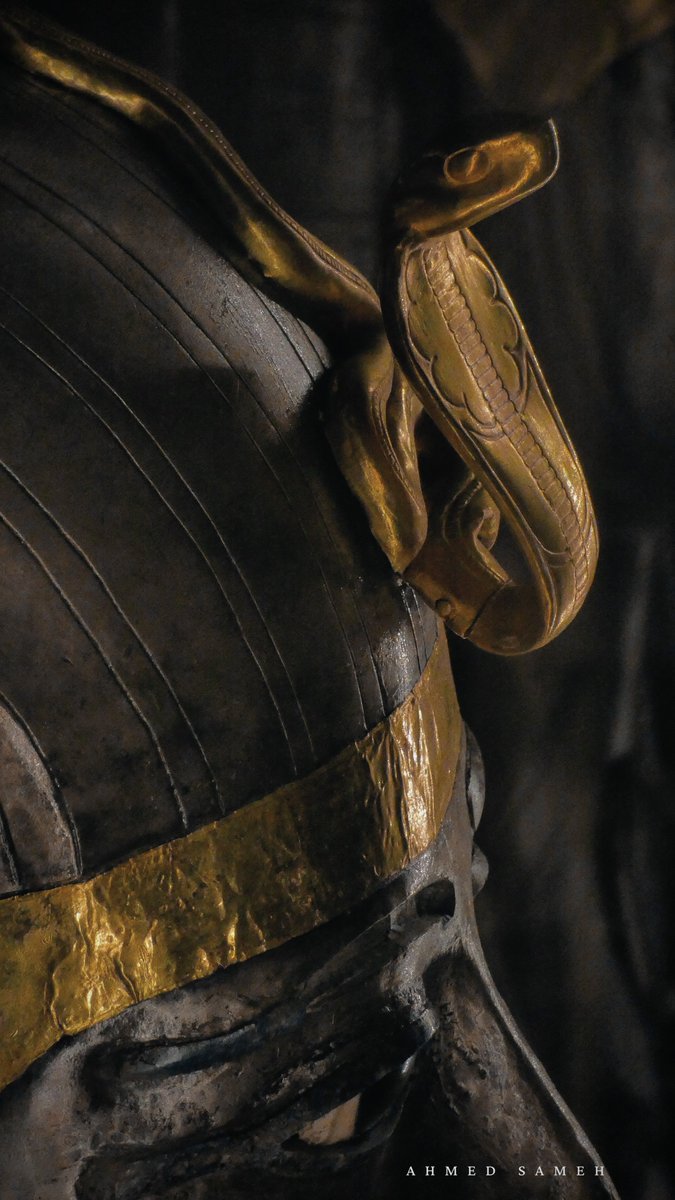 The Golden cobra  on the brow of Psusennes I 

📸 me 
Egyptian Museum in Cairo 

#Egyptology #Ancientegypt #History