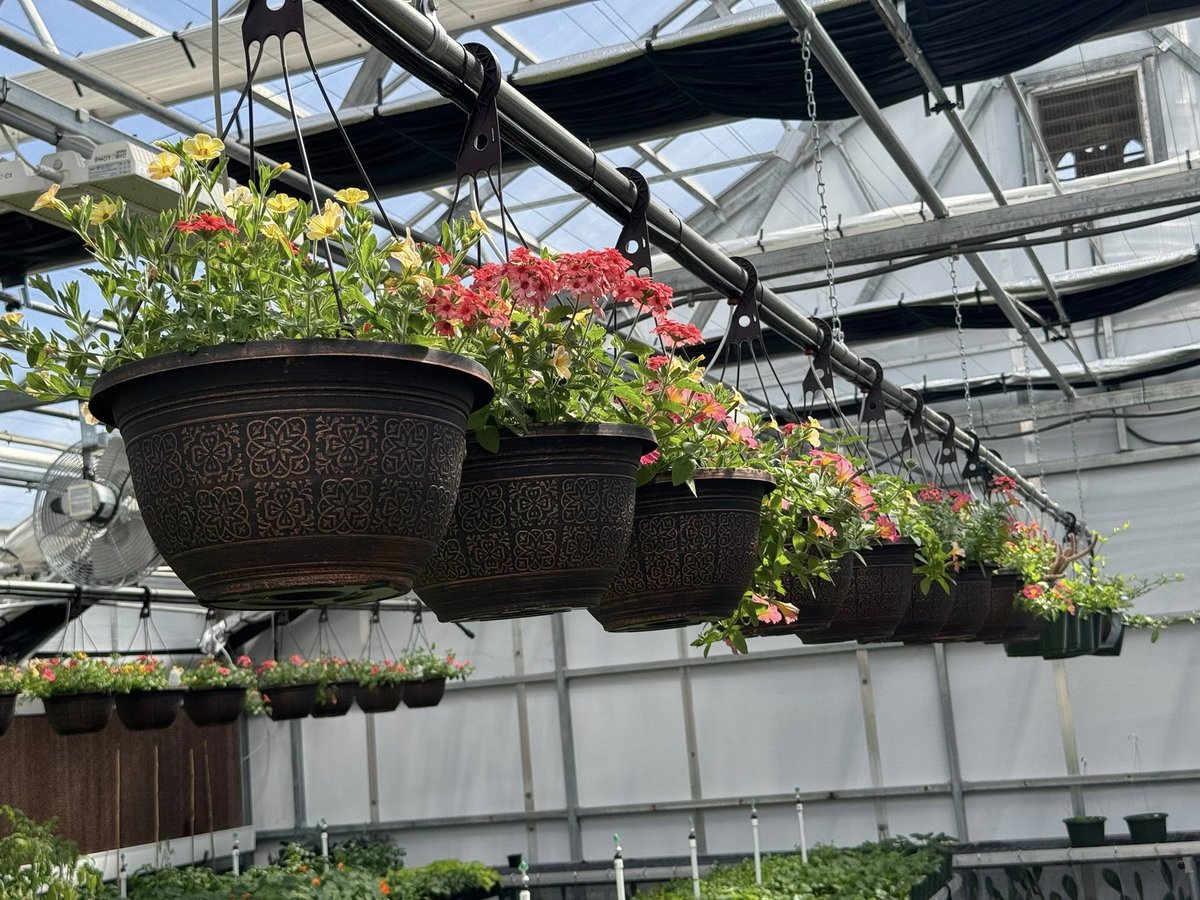 NISD CTE tweet media