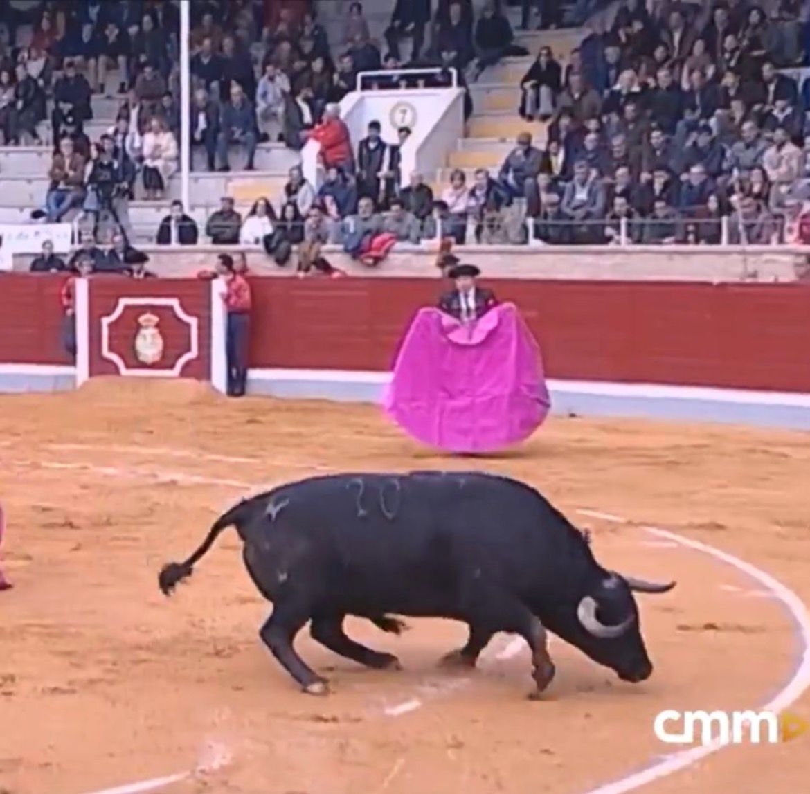 Yanko Ordóñez tweet media