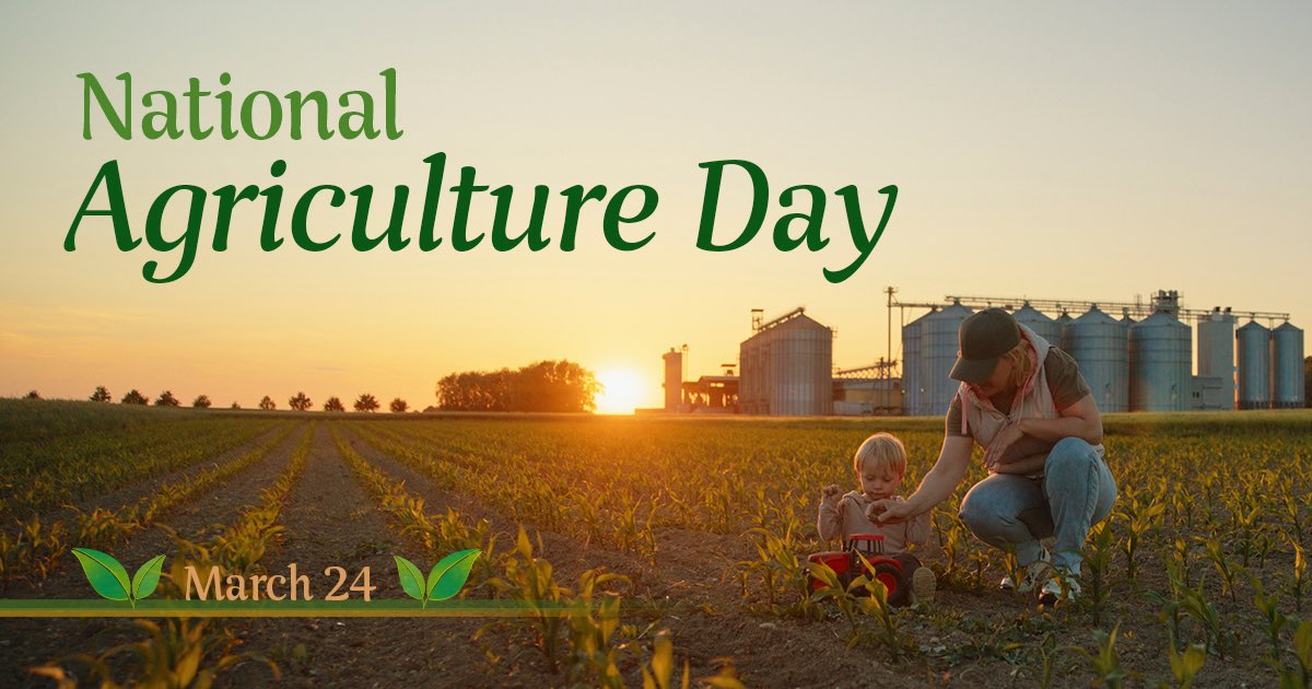 Senator Gallivan tweet media