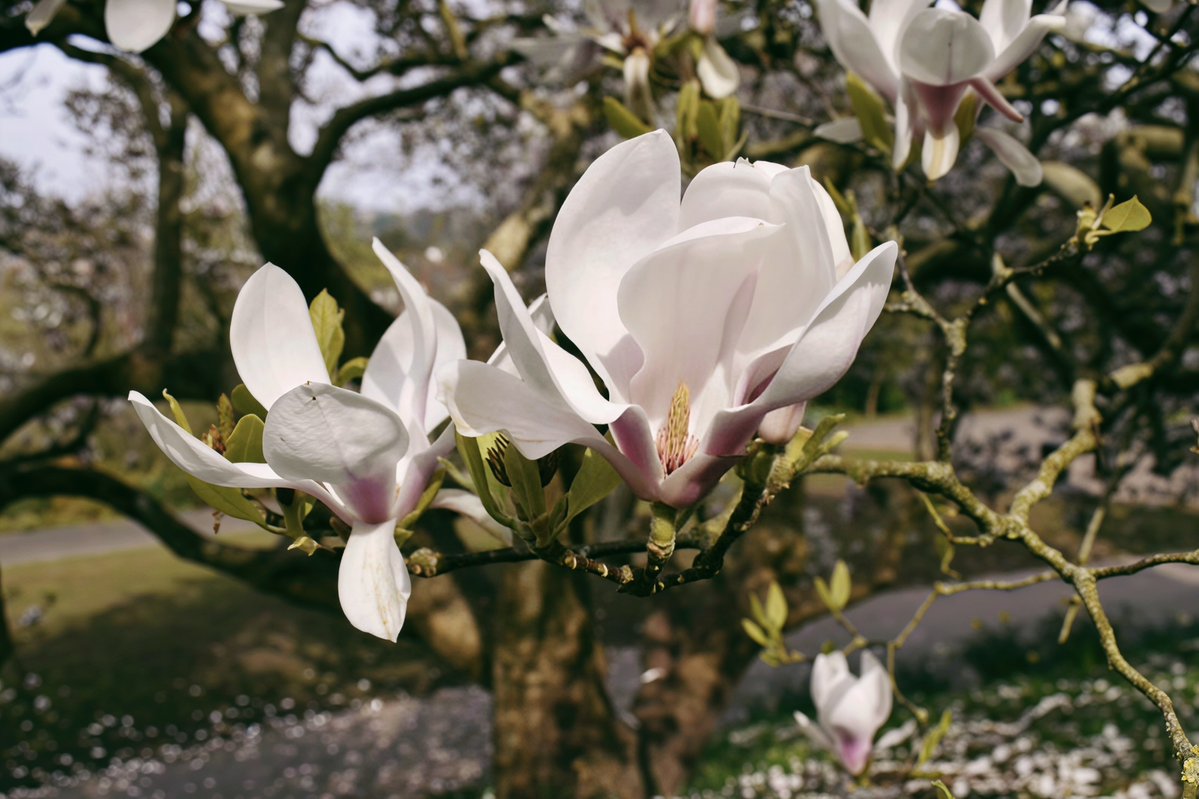 矽塑人生 tweet media