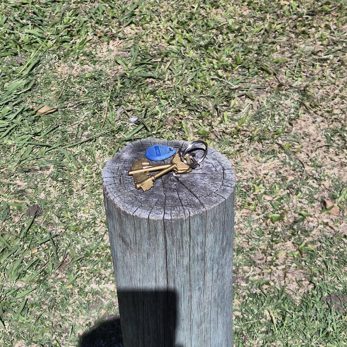 Mariana 🧡🪖🇮🇱 🤍 ❤️ tweet media