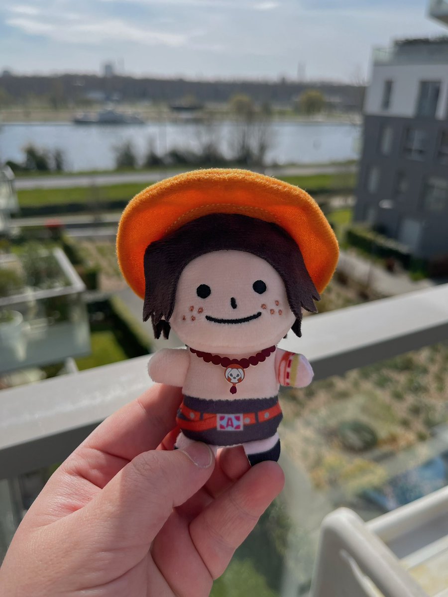 𝗽𝗲𝘁𝗲 tweet media