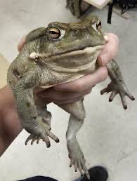 Joe Macdonald tweet media