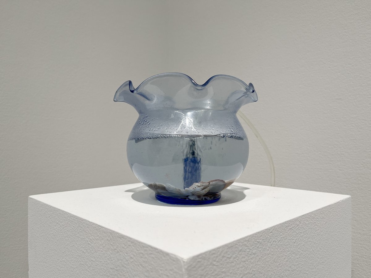 はむぞう tweet media