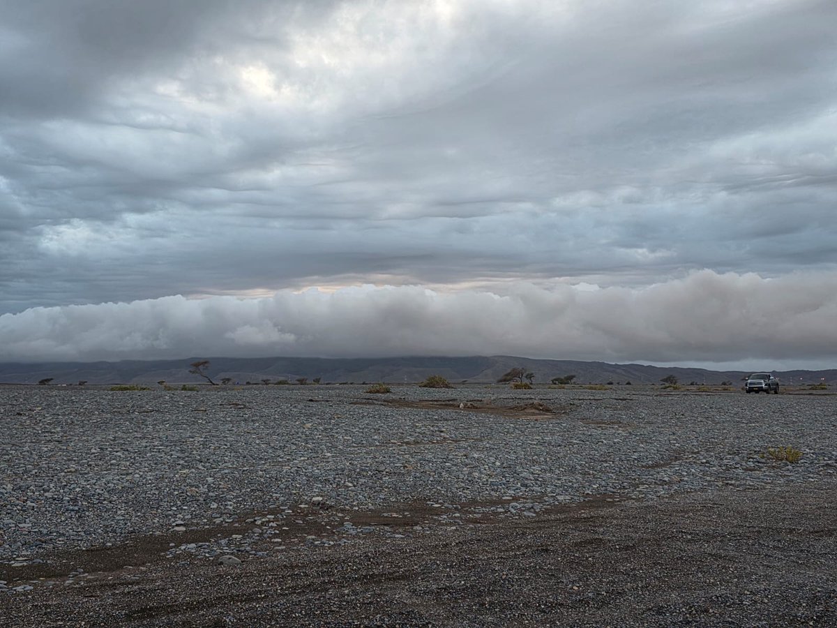 محفوظ الشيباني tweet media