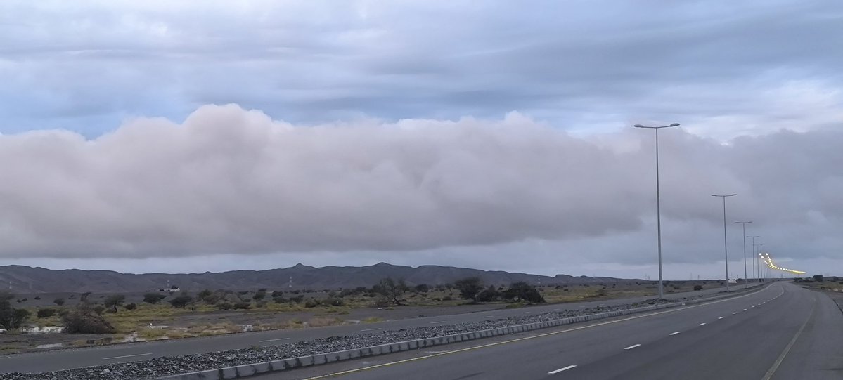 محفوظ الشيباني tweet media