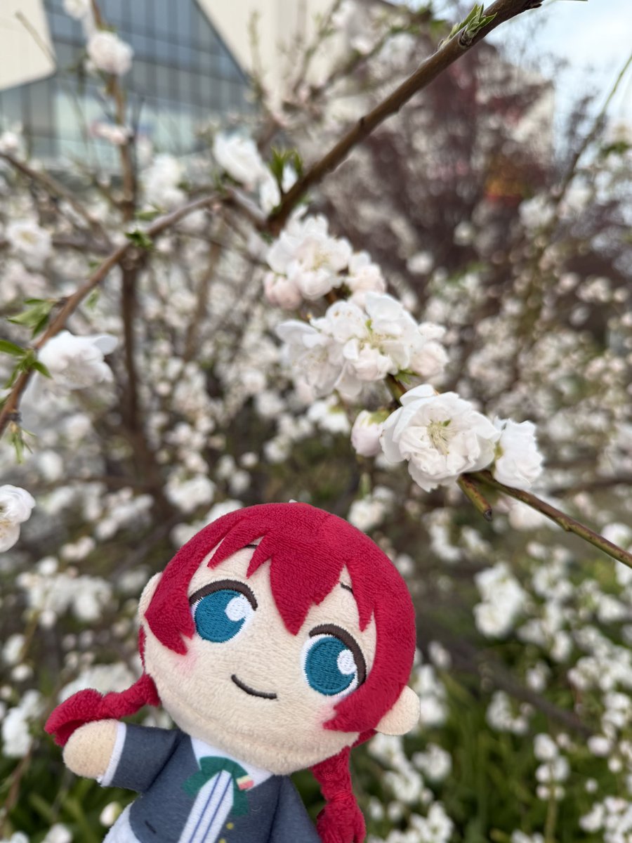 秋水(しゅうすい) tweet media