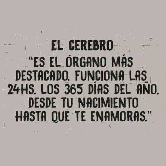 @catarsis 💛 🇦🇷🇪🇸🇮🇹 tweet media