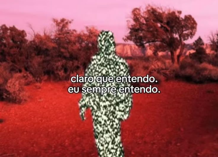 perfil dedicado a gatinhos e peitos tweet media