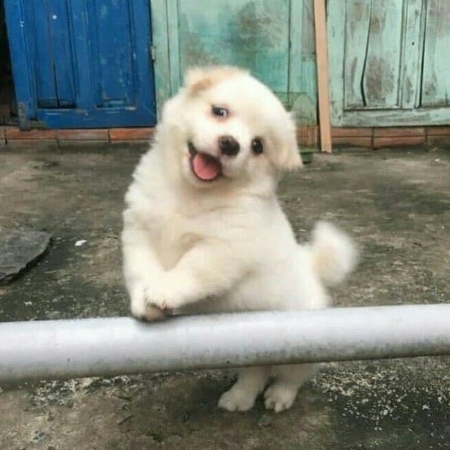 해니미니 tweet media