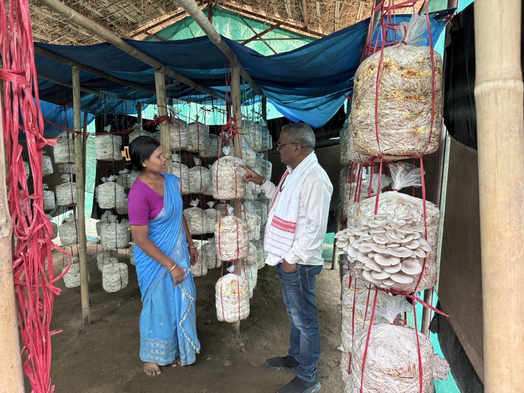 Mrinal_MLA's tweet image. #8pm : #SuccessStory
খুমটাই সমষ্টিৰ দৈগ্ৰোং গাঁও পঞ্চায়তৰ অন্তৰ্গত কেন্দুগুৰি গাঁৱৰ বহুতো মহিলাই কাঠফুলা (নাফু) Mushroom খেতি কৰি স্বাৱলম্বী হৈছে। তেওঁলোকক উৎসাহিত কৰিবলৈ আজি মই সকলোৰে ঘৰত উপস্থিত হওঁ। জানিবলৈ পাই সুখী হ'লো যে তেওঁলোক প্ৰত্যেকগৰাকীয়ে মুখ্যমন্ত্ৰীৰ মহিলা