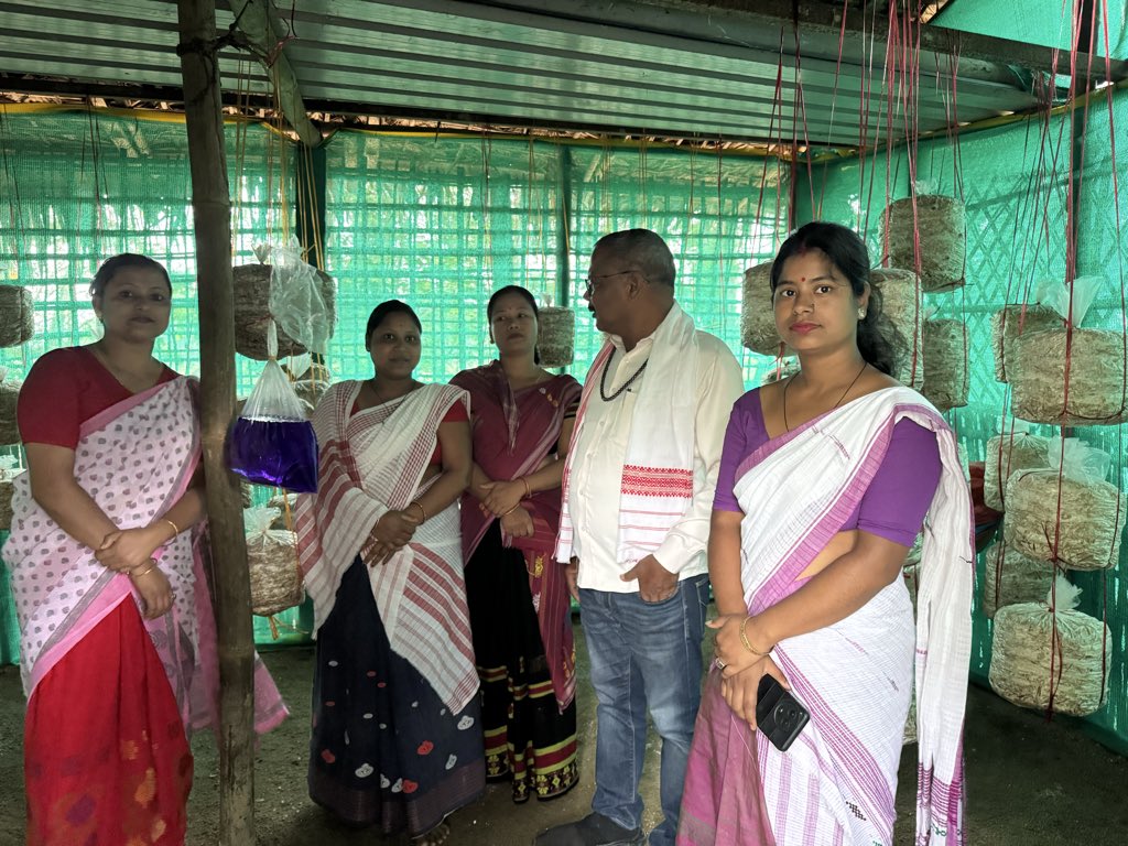 Mrinal_MLA's tweet image. #8pm : #SuccessStory
খুমটাই সমষ্টিৰ দৈগ্ৰোং গাঁও পঞ্চায়তৰ অন্তৰ্গত কেন্দুগুৰি গাঁৱৰ বহুতো মহিলাই কাঠফুলা (নাফু) Mushroom খেতি কৰি স্বাৱলম্বী হৈছে। তেওঁলোকক উৎসাহিত কৰিবলৈ আজি মই সকলোৰে ঘৰত উপস্থিত হওঁ। জানিবলৈ পাই সুখী হ'লো যে তেওঁলোক প্ৰত্যেকগৰাকীয়ে মুখ্যমন্ত্ৰীৰ মহিলা