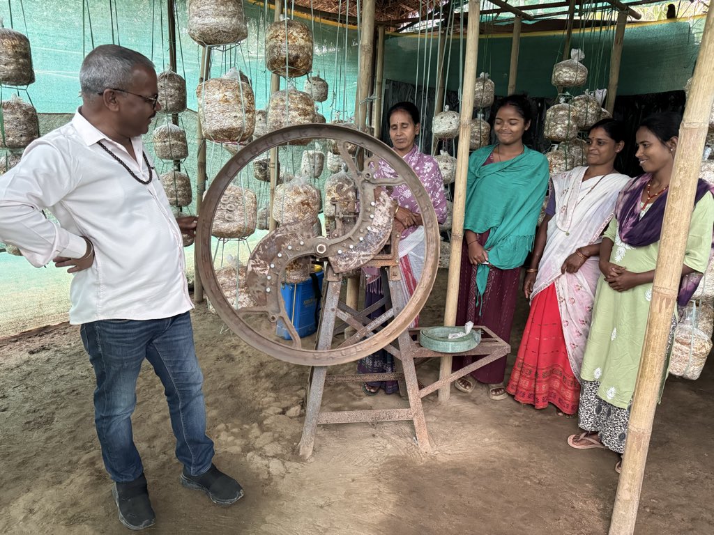 Mrinal_MLA's tweet image. #8pm : #SuccessStory
খুমটাই সমষ্টিৰ দৈগ্ৰোং গাঁও পঞ্চায়তৰ অন্তৰ্গত কেন্দুগুৰি গাঁৱৰ বহুতো মহিলাই কাঠফুলা (নাফু) Mushroom খেতি কৰি স্বাৱলম্বী হৈছে। তেওঁলোকক উৎসাহিত কৰিবলৈ আজি মই সকলোৰে ঘৰত উপস্থিত হওঁ। জানিবলৈ পাই সুখী হ'লো যে তেওঁলোক প্ৰত্যেকগৰাকীয়ে মুখ্যমন্ত্ৰীৰ মহিলা