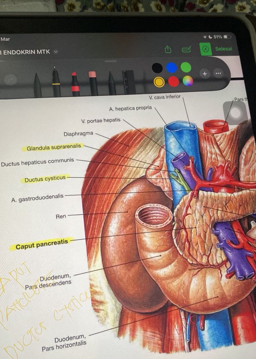 MIMA 🍎🍏 tweet media