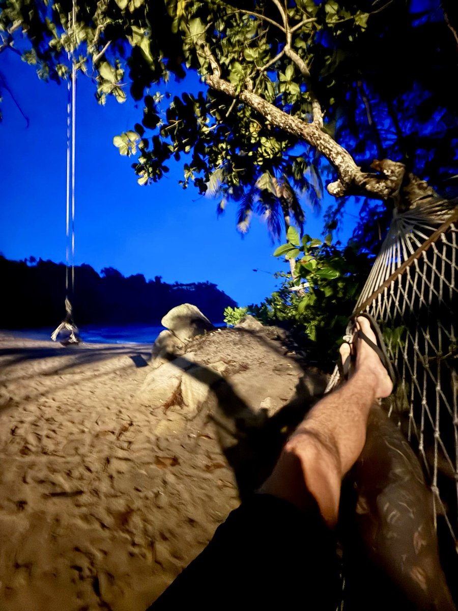 Светлaнa Шерстобитова tweet media