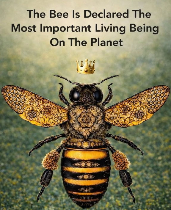 Brian G. Powell,M.S. tweet media