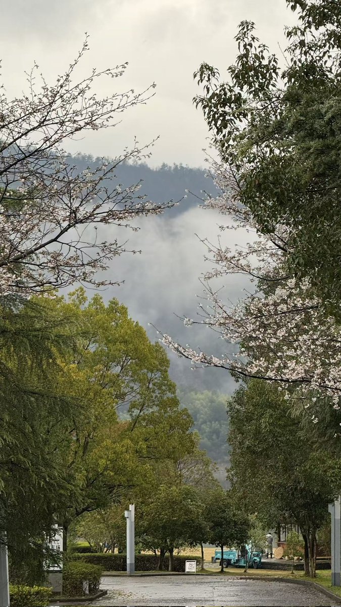 helen522AH's tweet photo. In the southern part of Anhui Province, China, there is an ancient village — Lucun. Its ancient name was Zhishan Village, named after the many long-tailed pheasants on Danyang Mountain beside the village.
📍Location: Lucun,  Yixian County, Huangshan, Anhui
#TravelinChina https://t.co/F8Fiug6A3C