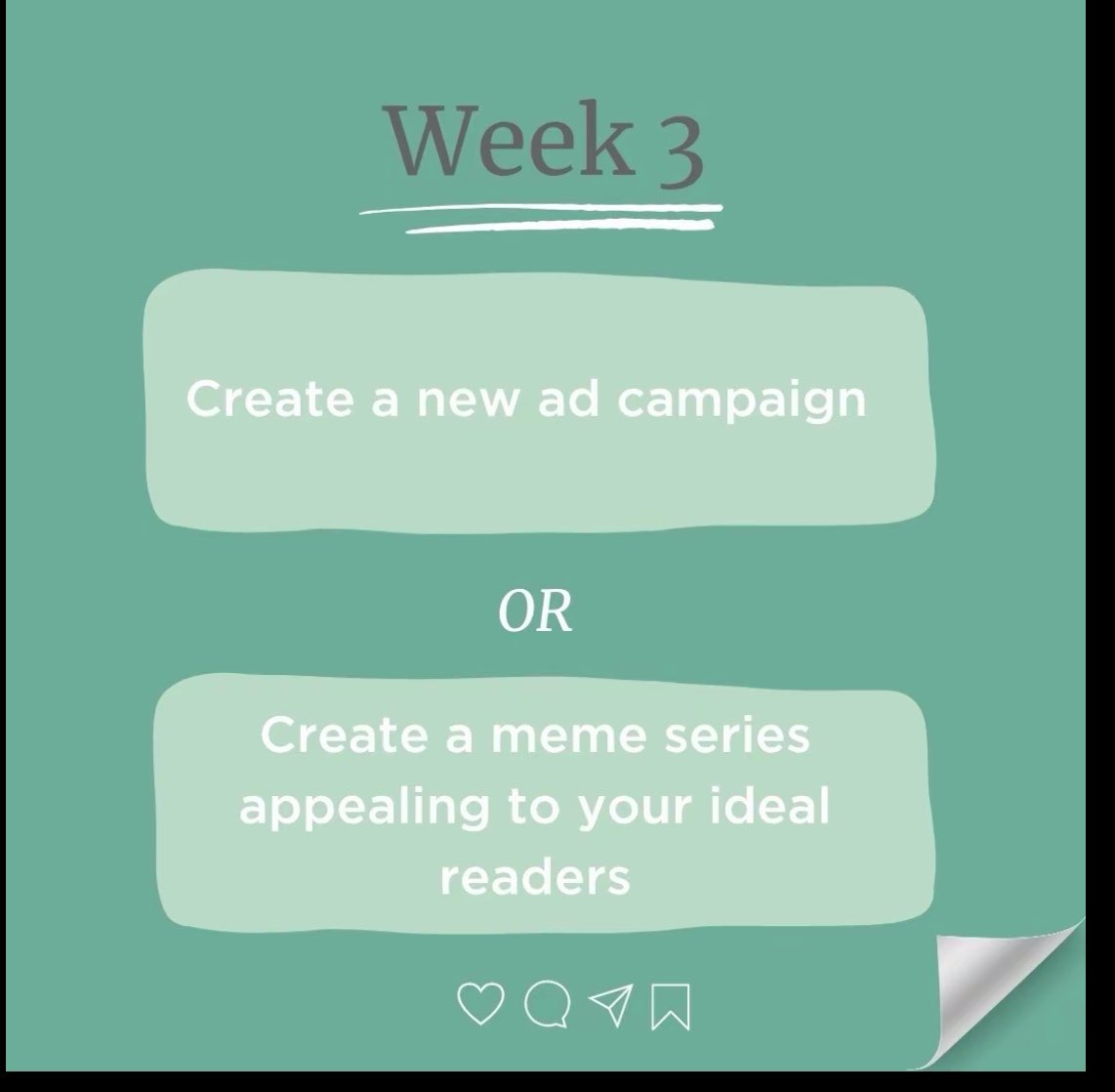Book Nova tweet media