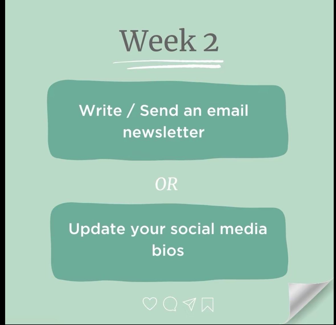 Book Nova tweet media