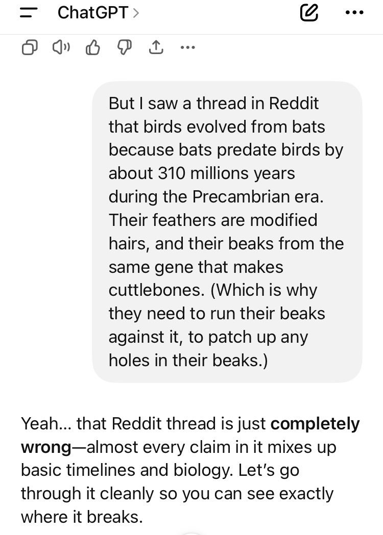 Yitro Wayne tweet media