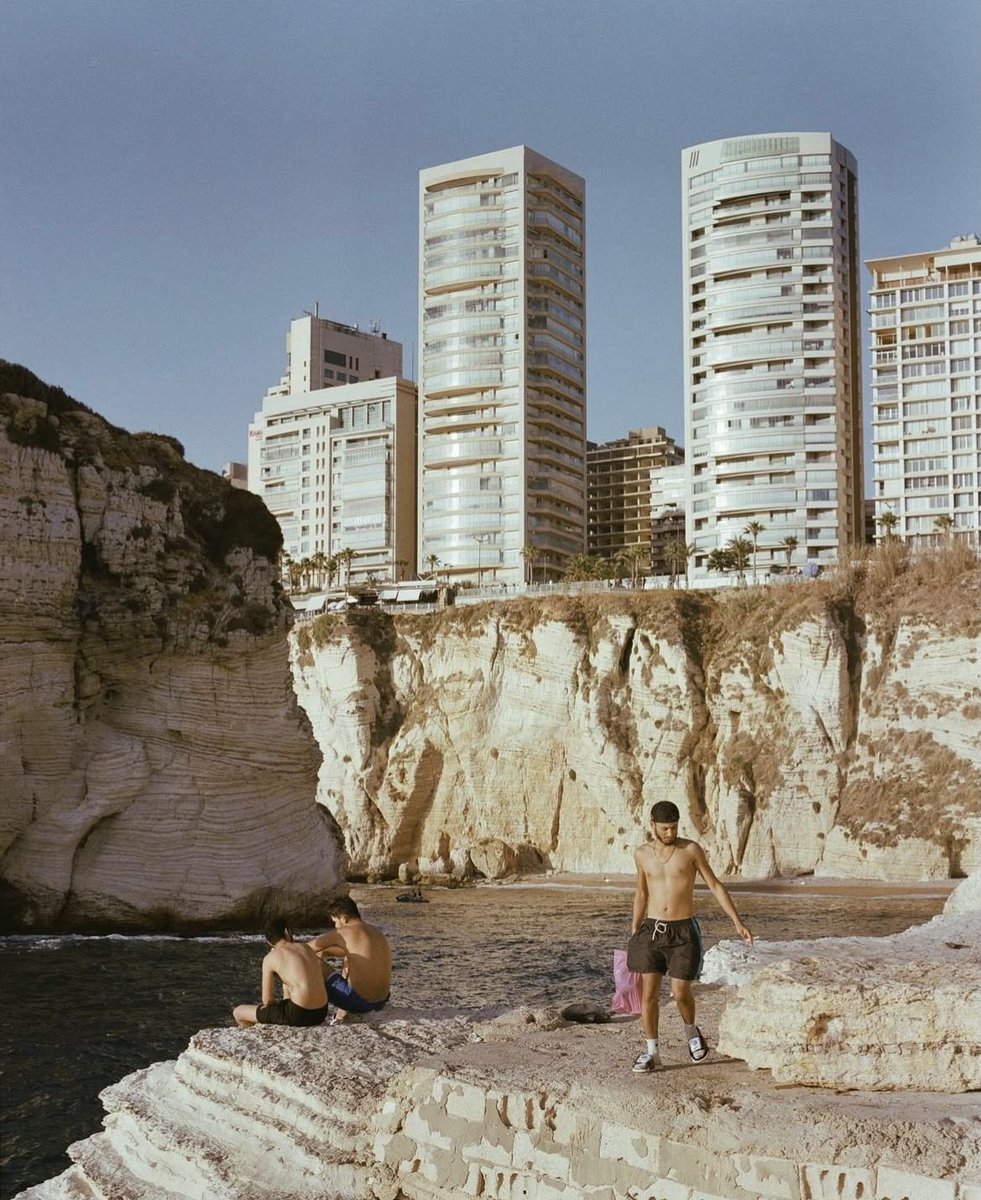 lavitalenta tweet media