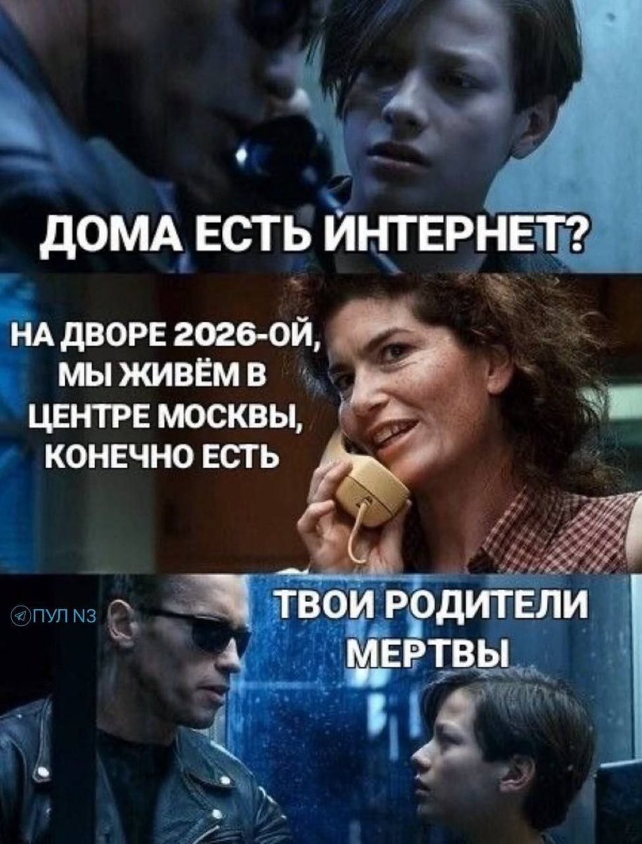 Вестник бури / Буревестник tweet media