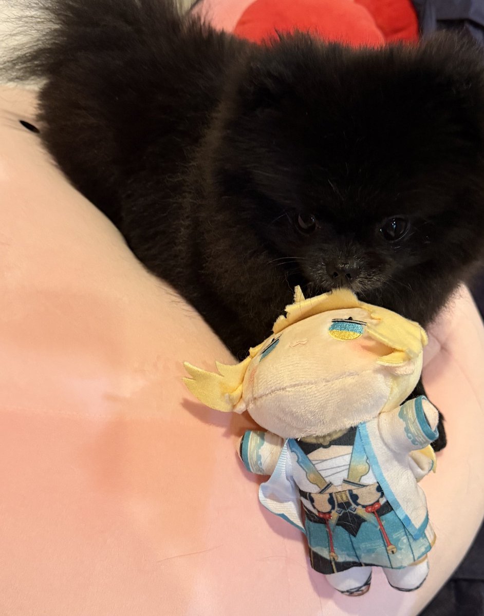 まちゅり໒꒱· ﾟ tweet media