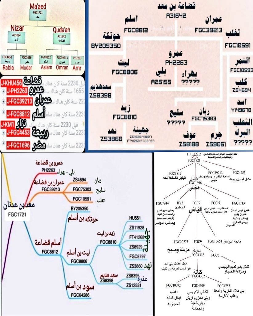 𝗗𝗿. 𝗦𝗵𝗿𝗻𝗼𝗼𝗳_𝗟𝟮𝟮𝟮.𝟮✍️🏼شرنوف الجعيدي tweet media
