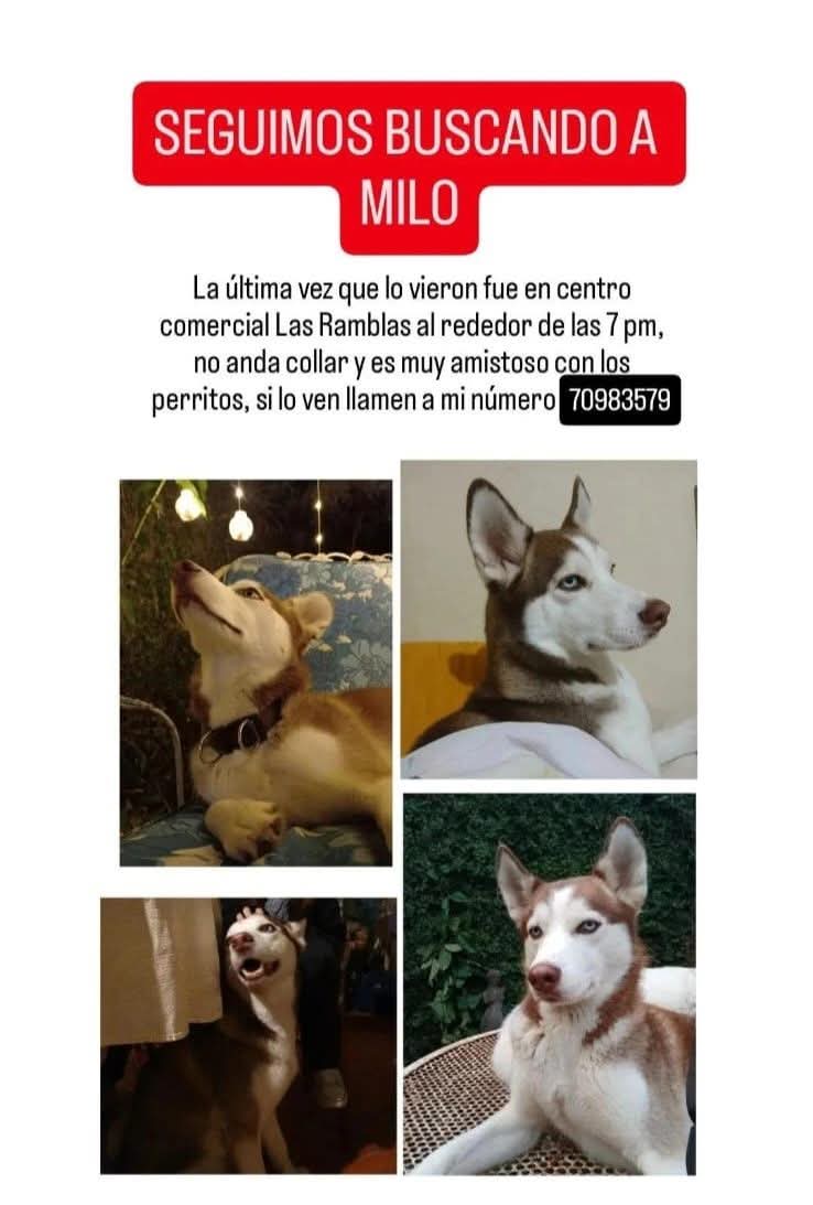 Alerta Noticias tweet media