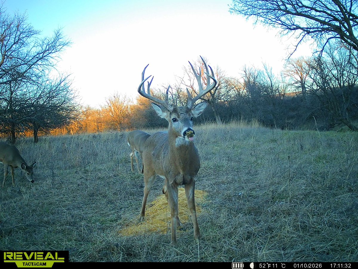 Sundgren Realty tweet media