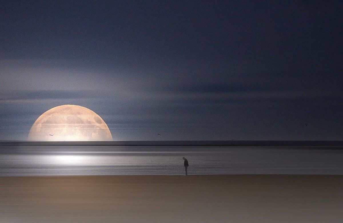 Moon tweet media