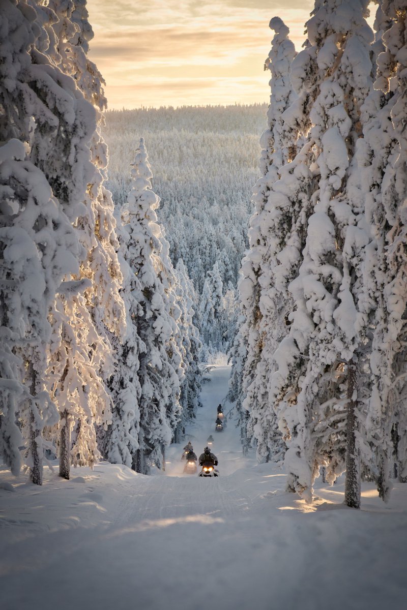 Royal Marines tweet media