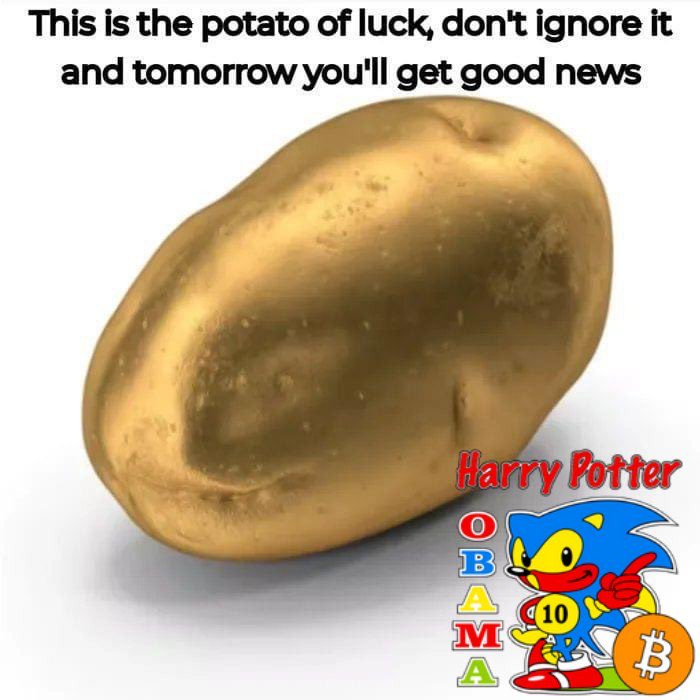 Moonemonka tweet media