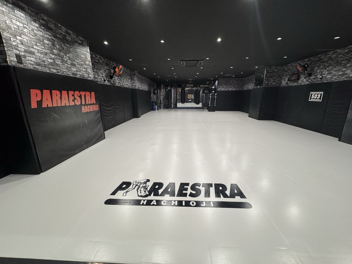 ゴーゾー tweet media