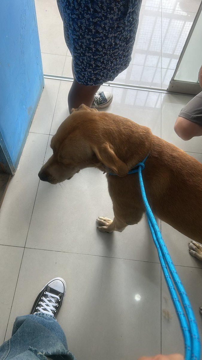 Callao Noticias tweet media